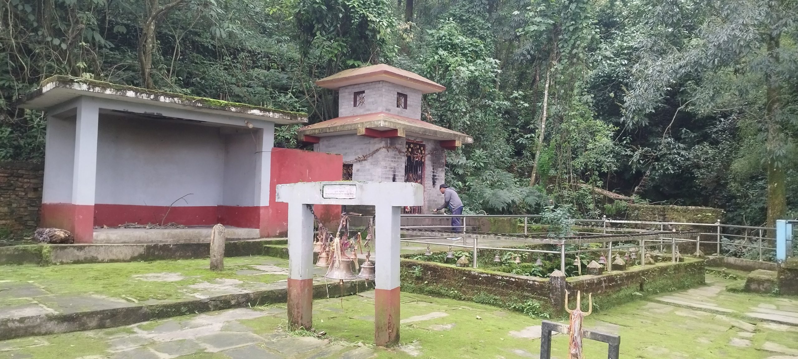 जीवित जलदेवी