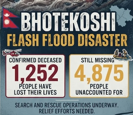 death toll