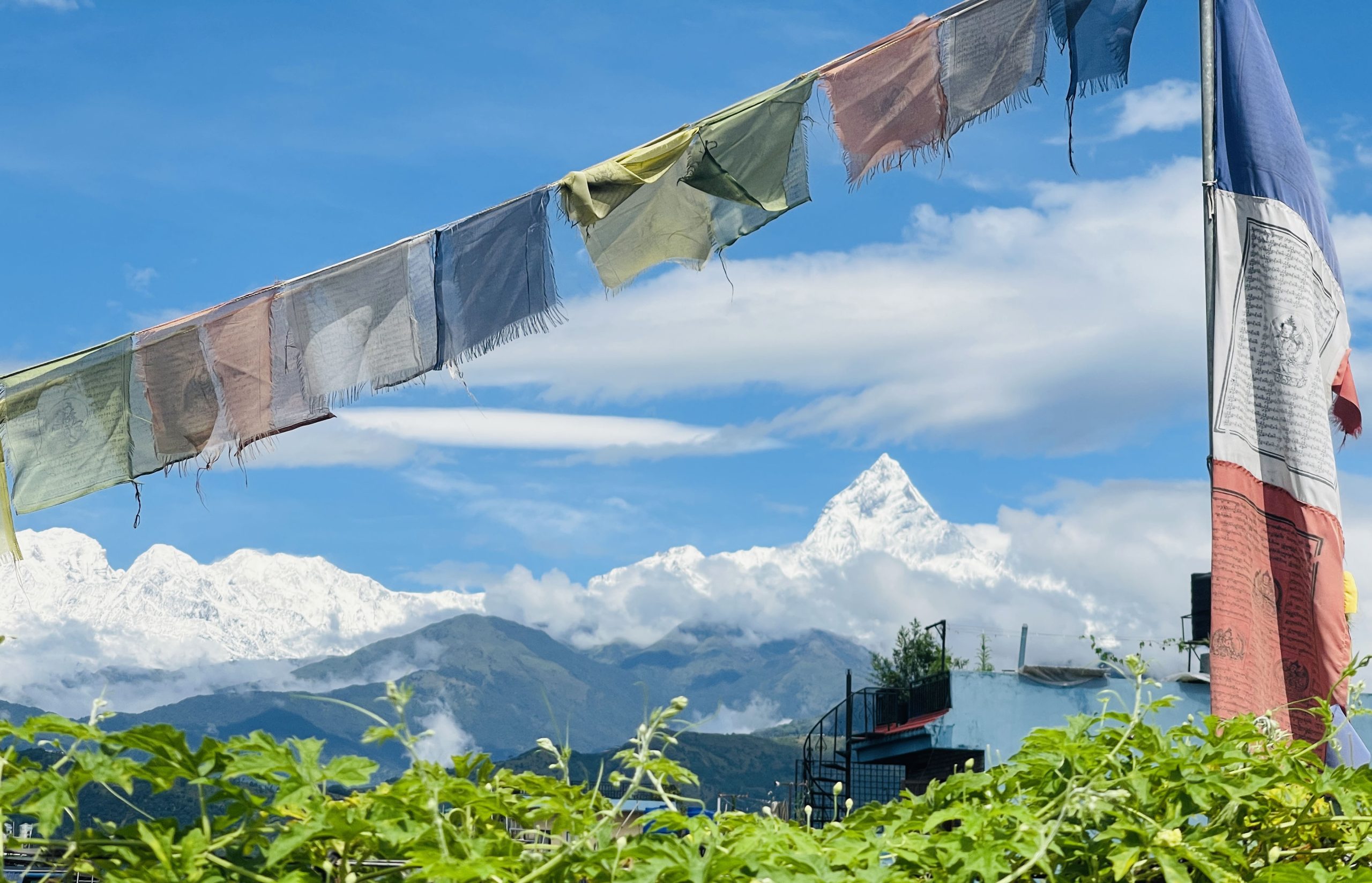 DBG_POKHARA_IMG_3529