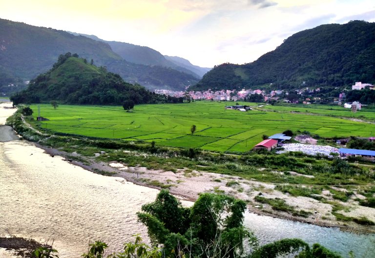 धानखेती