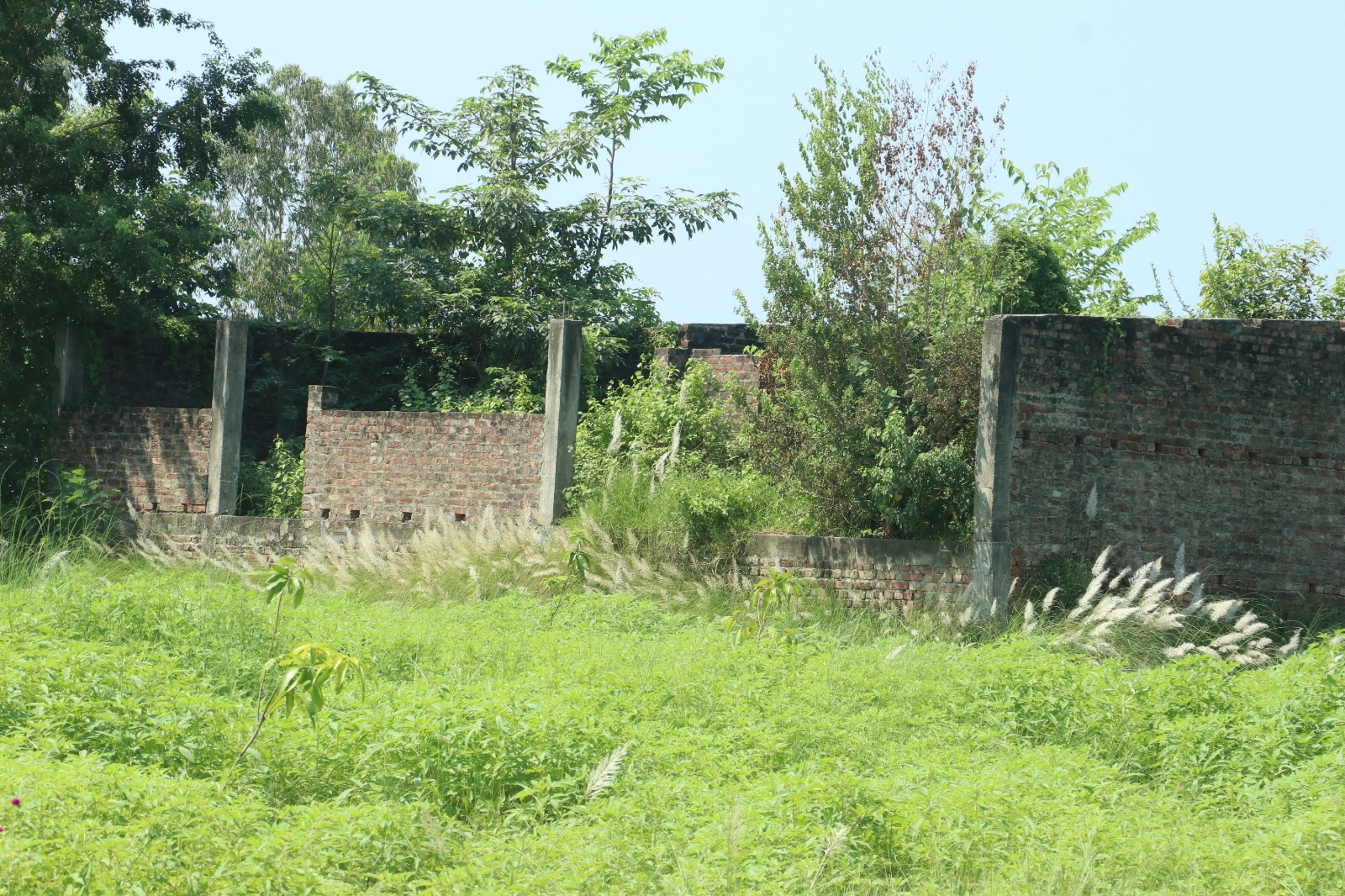 शीतभण्डार