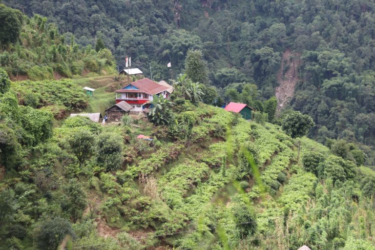 कृषक अलैँचीखेतीमा आकर्षित