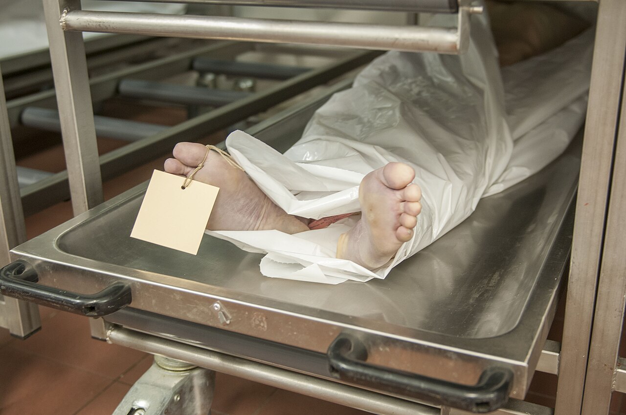 dead body