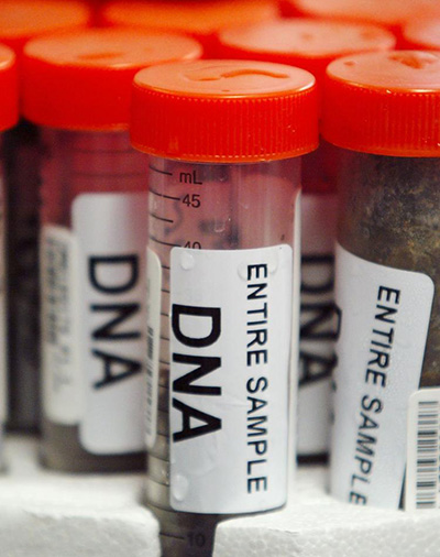 dna