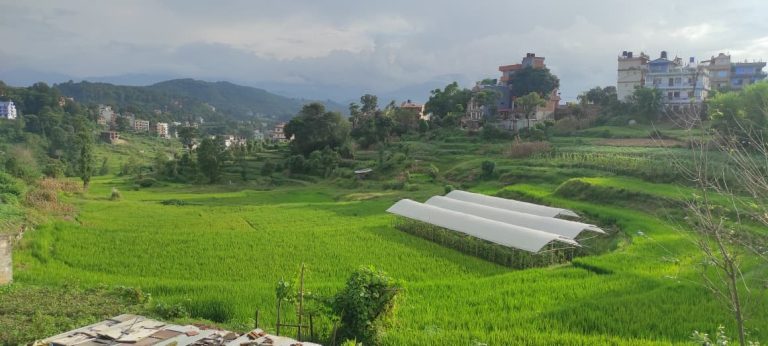 धुलिखेल