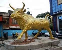 nepse bull