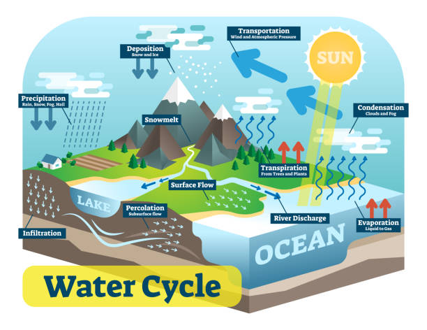 water cycle