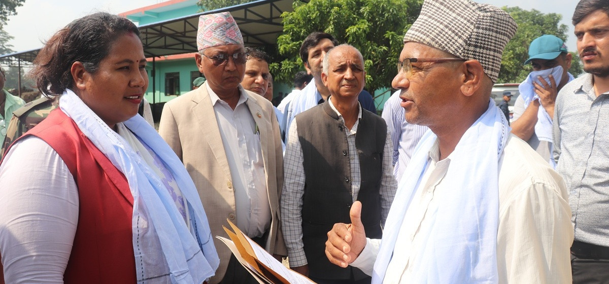 विदेशी काठको आयात प्रतिस्थापन