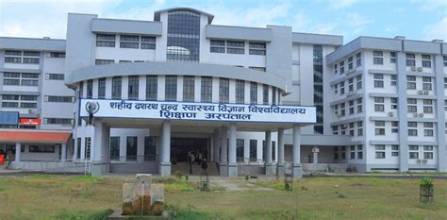 गेटा विश्वविद्यालय